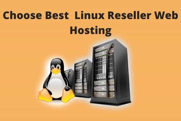 Choose Best and Cheap Linux Reseller Web Hosting