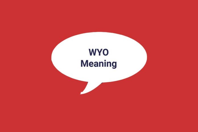 WYO Meaning in Text