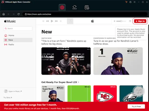 Install and Launch ViWizard